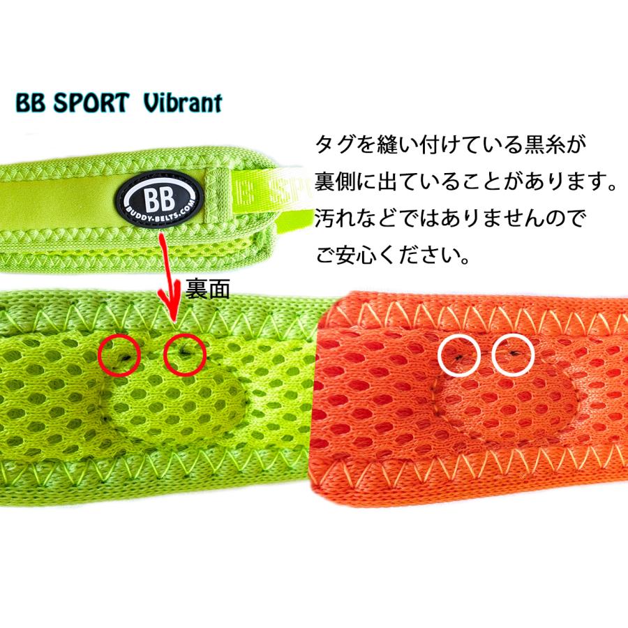 バディーベルト ナイロンリード Sサイズ BB SPORT (BBスポーツ