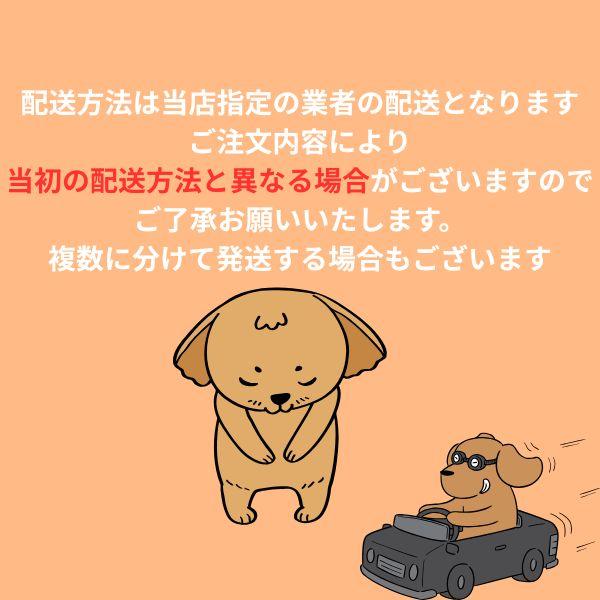 首輪 小型犬 M 肌に優しいコットン100％ 倉敷製帆布 コバルト ブラウン グレ ー ネイビー シンプル  かわいい おしゃれ 日本製 安心 安全 プレゼント 誕生日 犬 |  | 08