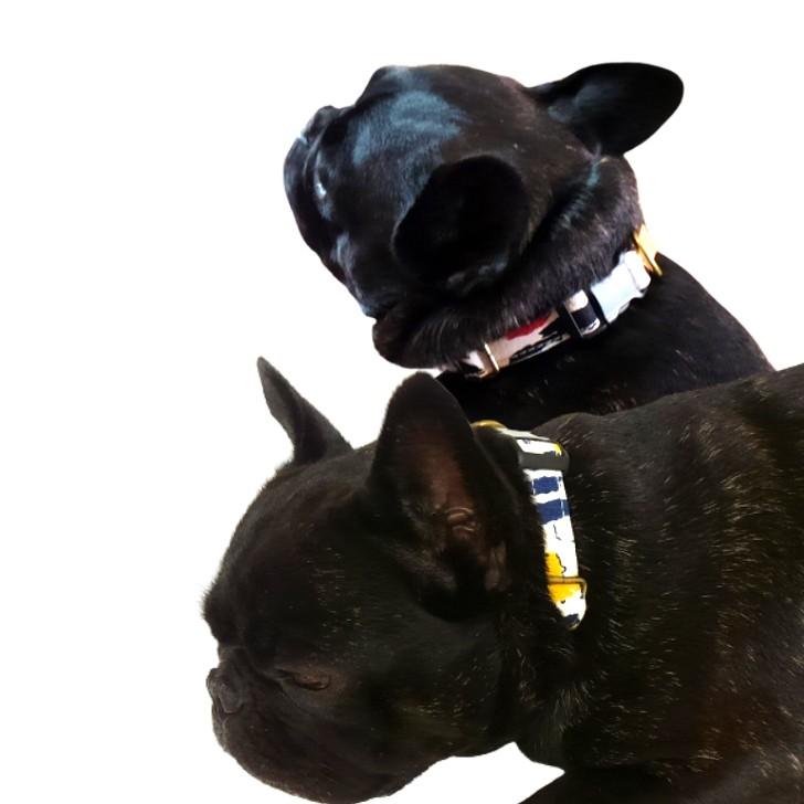 首輪 小型犬 M MOOD 肌に優しいコットン100％ 倉敷製帆布 かわいい おしゃれ 安心 安全  京都手捺染 日本製 プレゼント 誕生日 犬 |  | 10