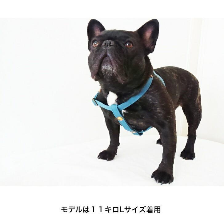 犬 ハーネス 小型犬 胴輪 M 足入れ 日本製 簡単装着 ブルーグレー