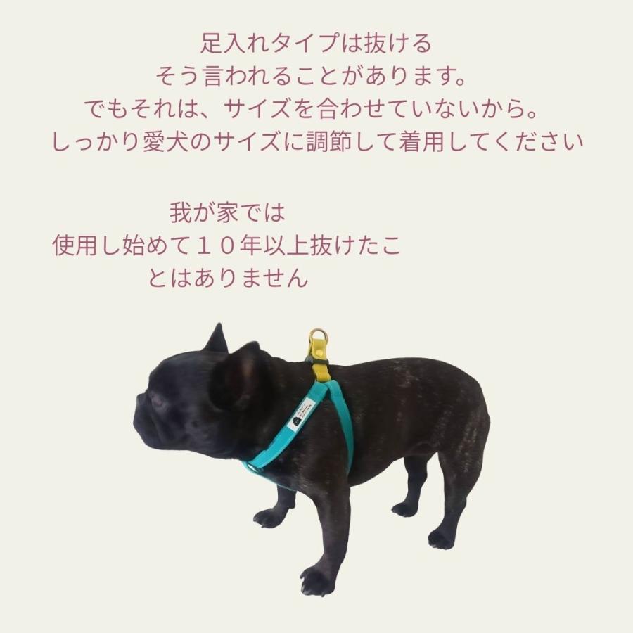 フレンチブルドッグ専用設計 8kg〜17kg 着用実績 バイカラー 抜け