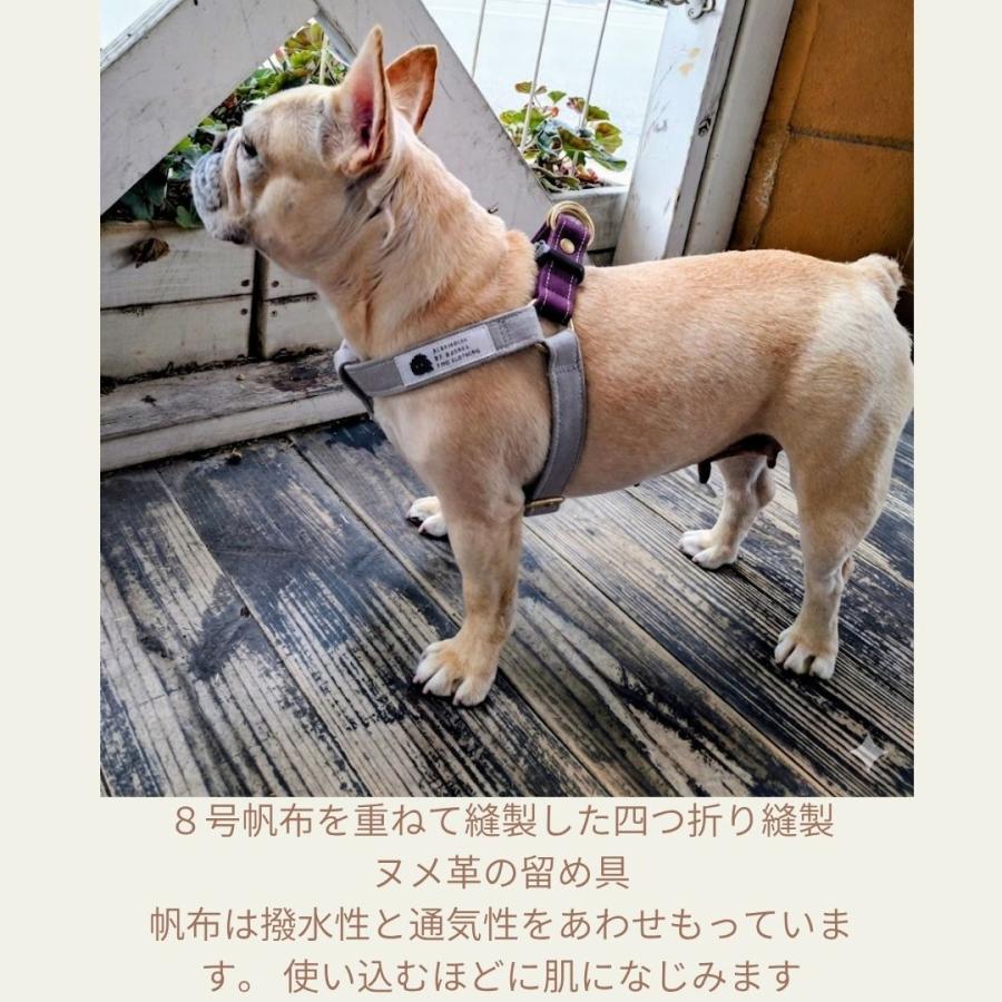 フレンチブルドッグ専用設計 8kg〜17kg 着用実績 バイカラー 抜け