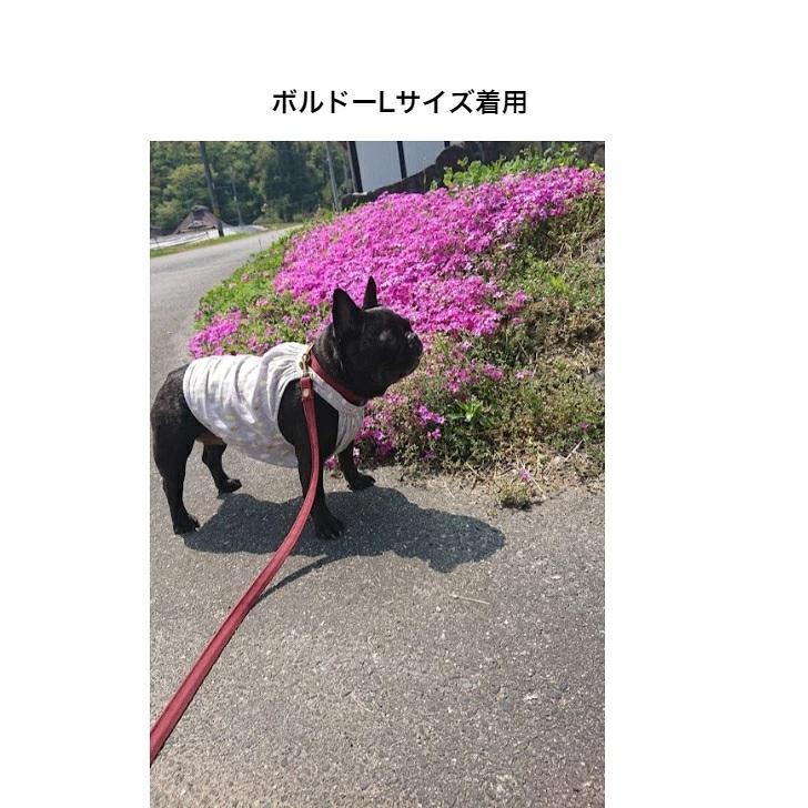 リード 犬 キャンバス 中型犬 L カフェリード日本製倉敷製帆布 おしゃれ キャンバス地 持ち手がナスカン付き 柴犬 コーギー フレブル |  | 12