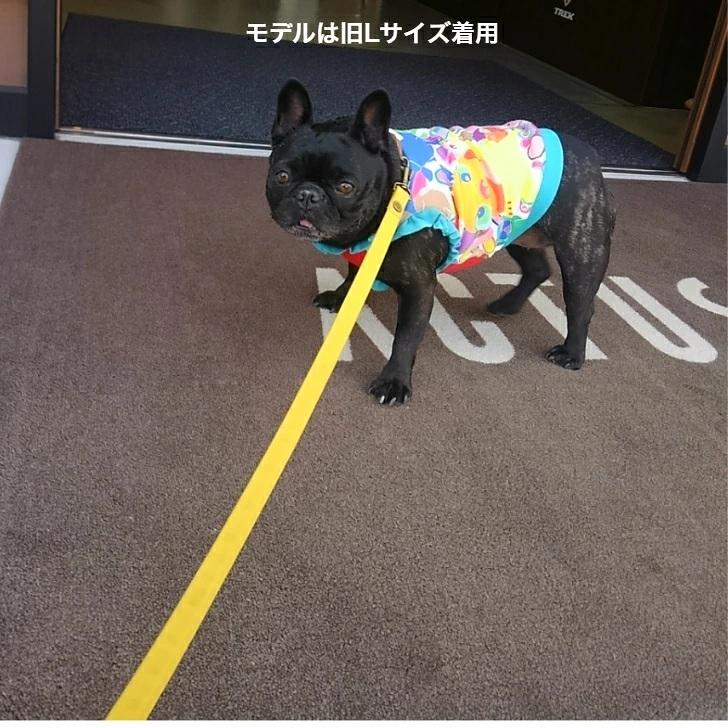 リード 犬 キャンバス 中型犬 L カフェリード日本製倉敷製帆布 おしゃれ キャンバス地 持ち手がナスカン付き 柴犬 コーギー フレブル |  | 08