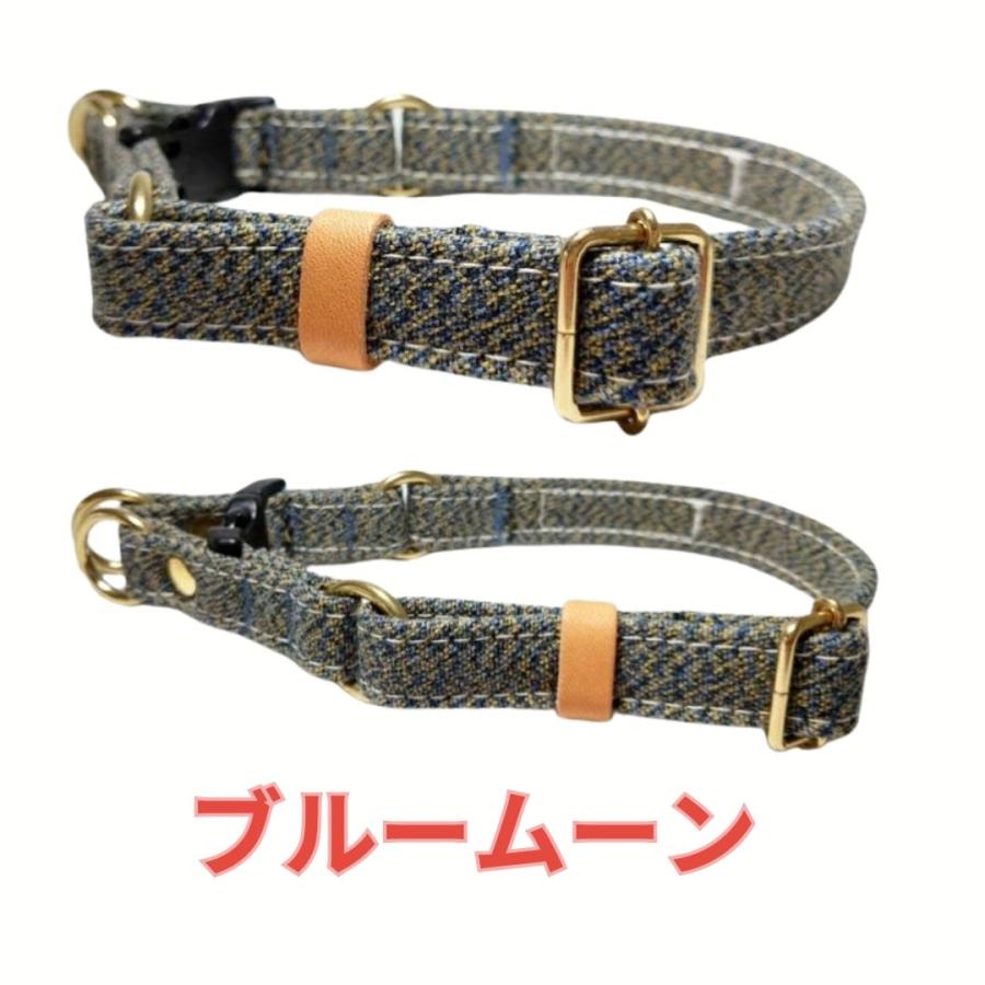 首輪 ダブルリング フレンチブルドッグ 中型犬 大型犬 ミックス