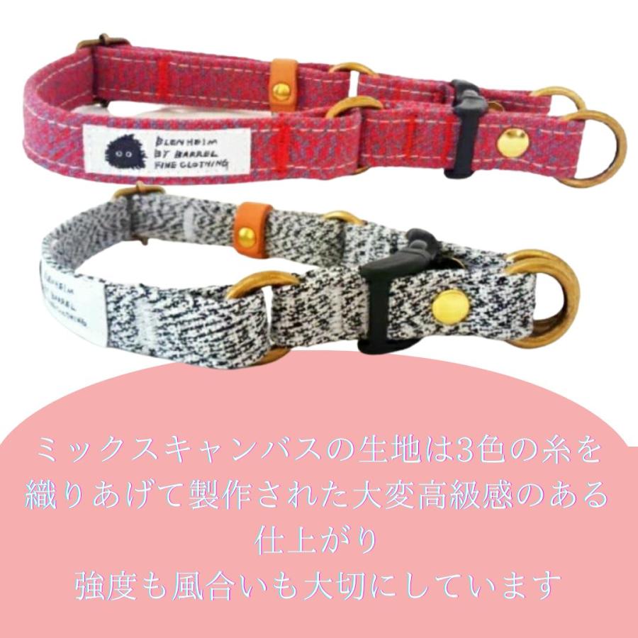 首輪 ダブルリング フレンチブルドッグ 中型犬 大型犬 ミックス