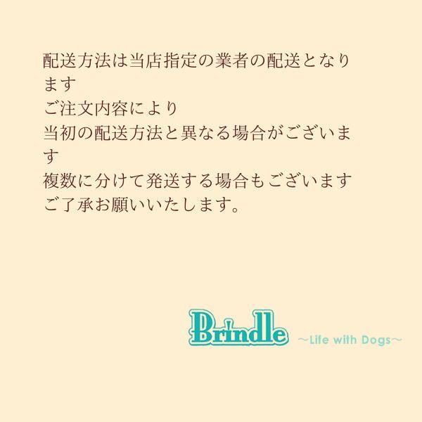 犬 首輪 日本製 中型犬 倉敷製帆布 ミックスキャンバス  L 食い込みにくい コットン 柴犬 ミニチュアシュナウザー フレンチブルドッ グ |  | 10