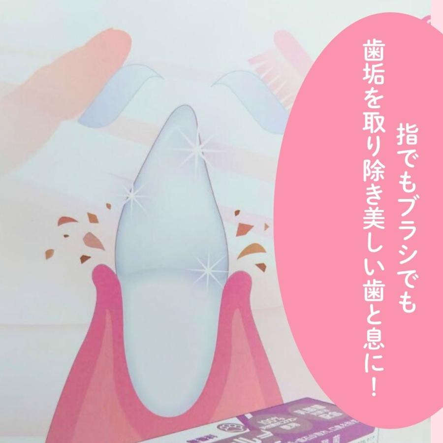 スカローデンタルジェル 犬猫用歯磨き 動物病院取扱  無香料 40g 歯垢 歯石除去 口臭予防 歯周病予防 犬用はみがき 猫用歯磨き |  | 01