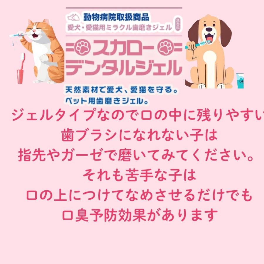 スカローデンタルジェル 犬猫用歯磨き 動物病院取扱  無香料 40g 歯垢 歯石除去 口臭予防 歯周病予防 犬用はみがき 猫用歯磨き |  | 02