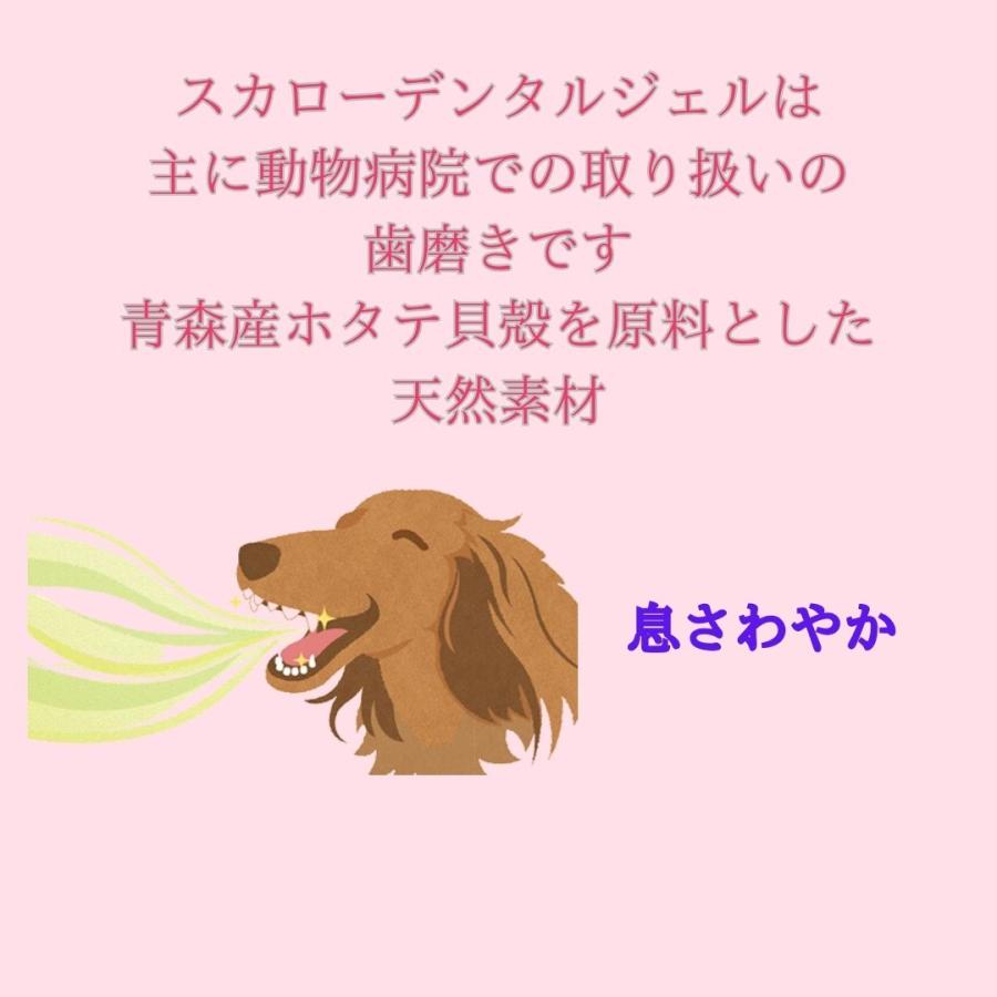 スカローデンタルジェル 犬猫用歯磨き 動物病院取扱  無香料 40g 歯垢 歯石除去 口臭予防 歯周病予防 犬用はみがき 猫用歯磨き |  | 03