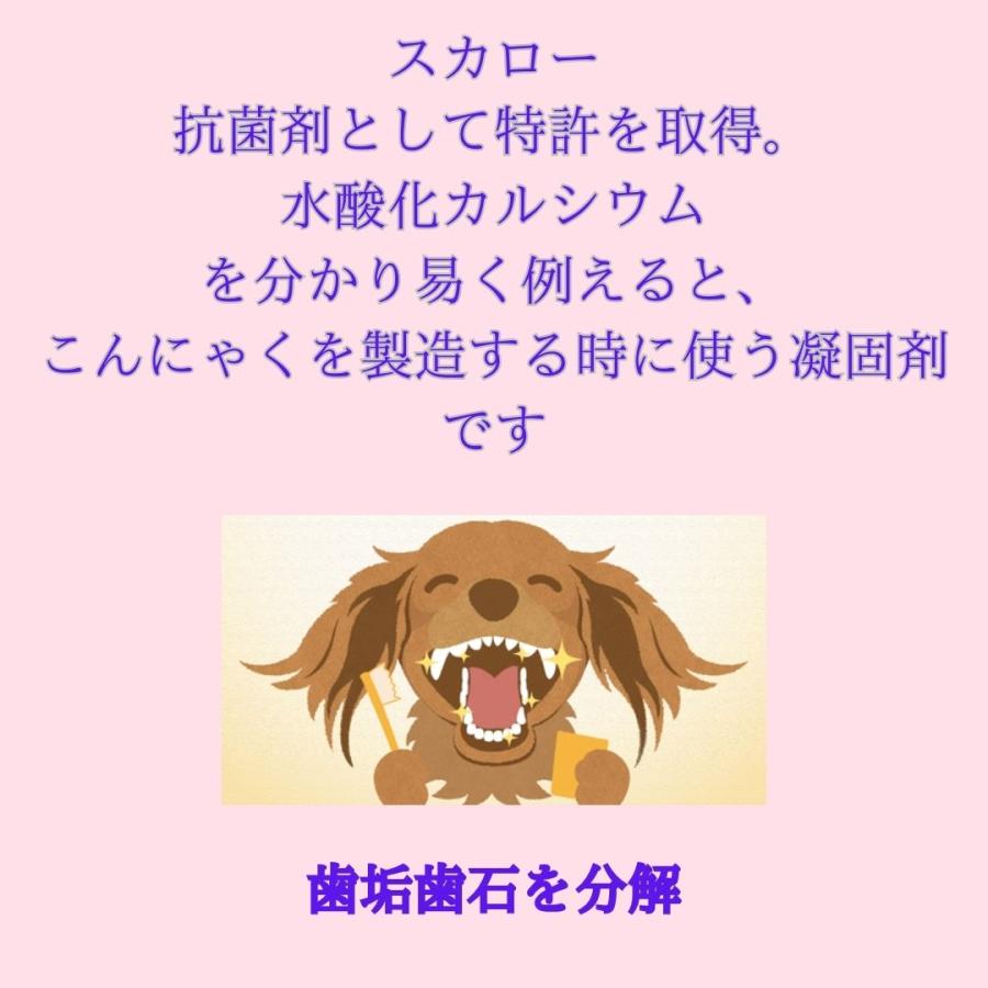 スカローデンタルジェル 犬猫用歯磨き 動物病院取扱  無香料 40g 歯垢 歯石除去 口臭予防 歯周病予防 犬用はみがき 猫用歯磨き |  | 05