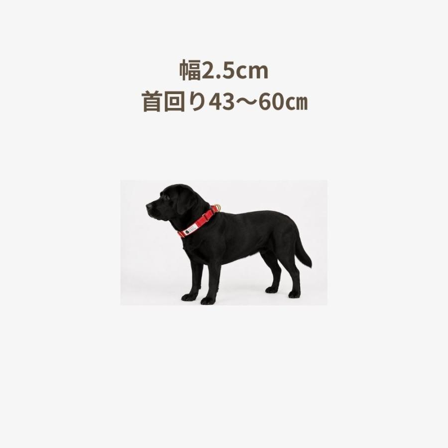 大型犬　ハンドメイド首輪　㊸ 大型犬 ハンドメイド首輪 ㊸ 【公式直販】サイト