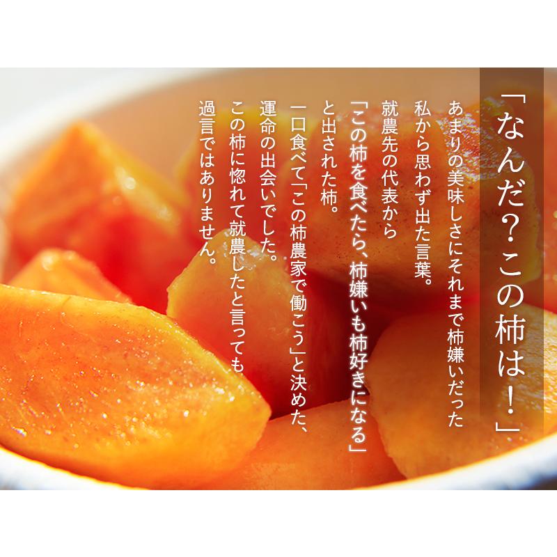 幻の柿 山梨県産 一町田中の富有柿（甘柿）約2.5kg 産地直送 : Brings