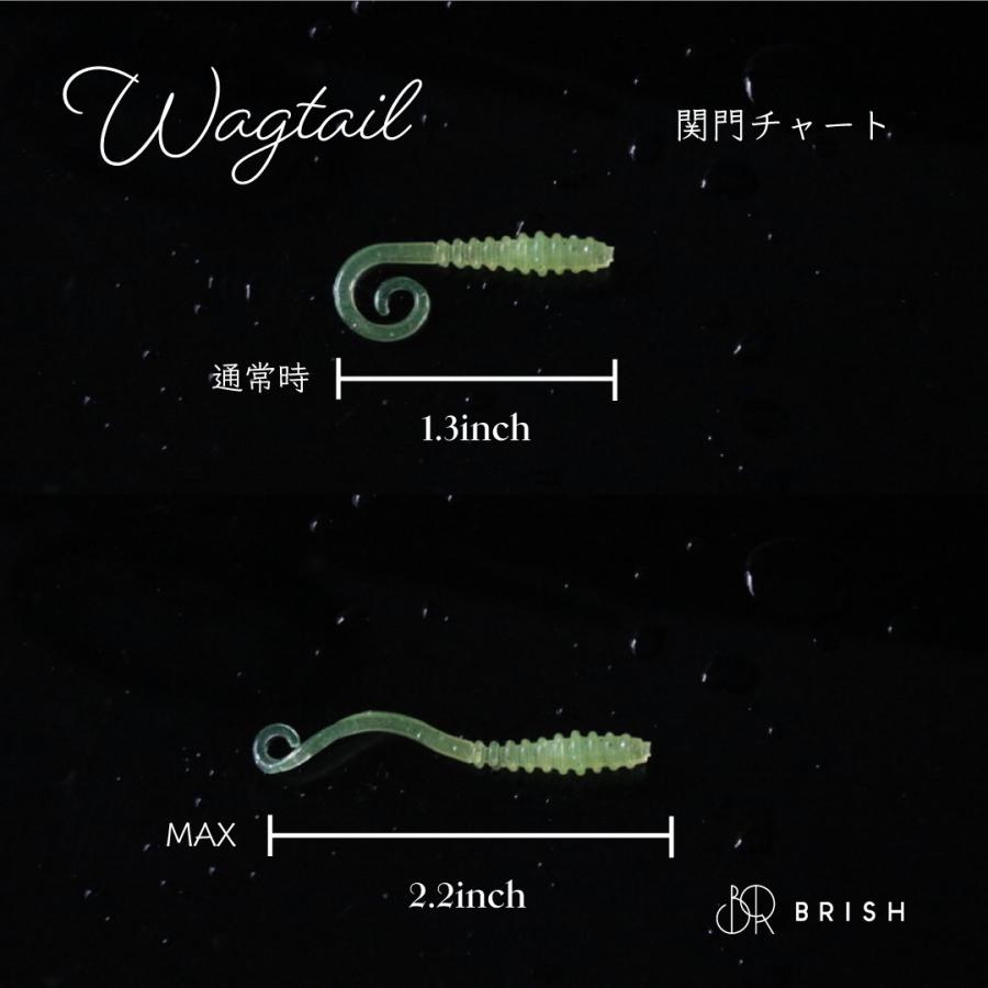 Wagtail/ワグテイル｜brish｜11