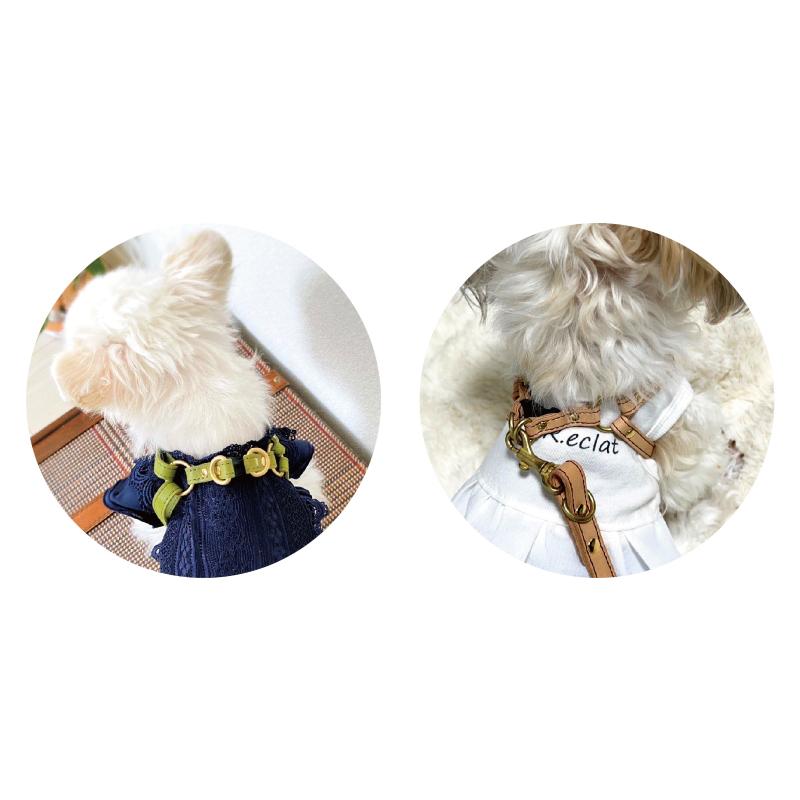 犬用リード＆ハーネスSET【本革】salmonping＆ヌメ革ツートン／ドット