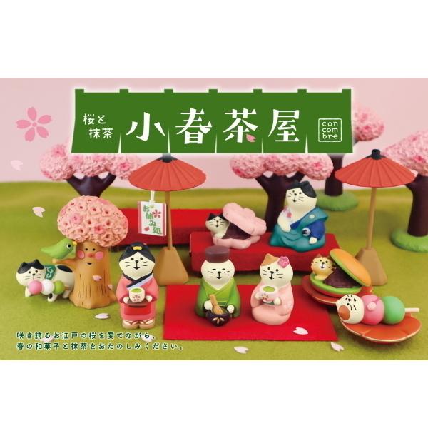 コンコンブル concombre 桜と抹茶16点セット