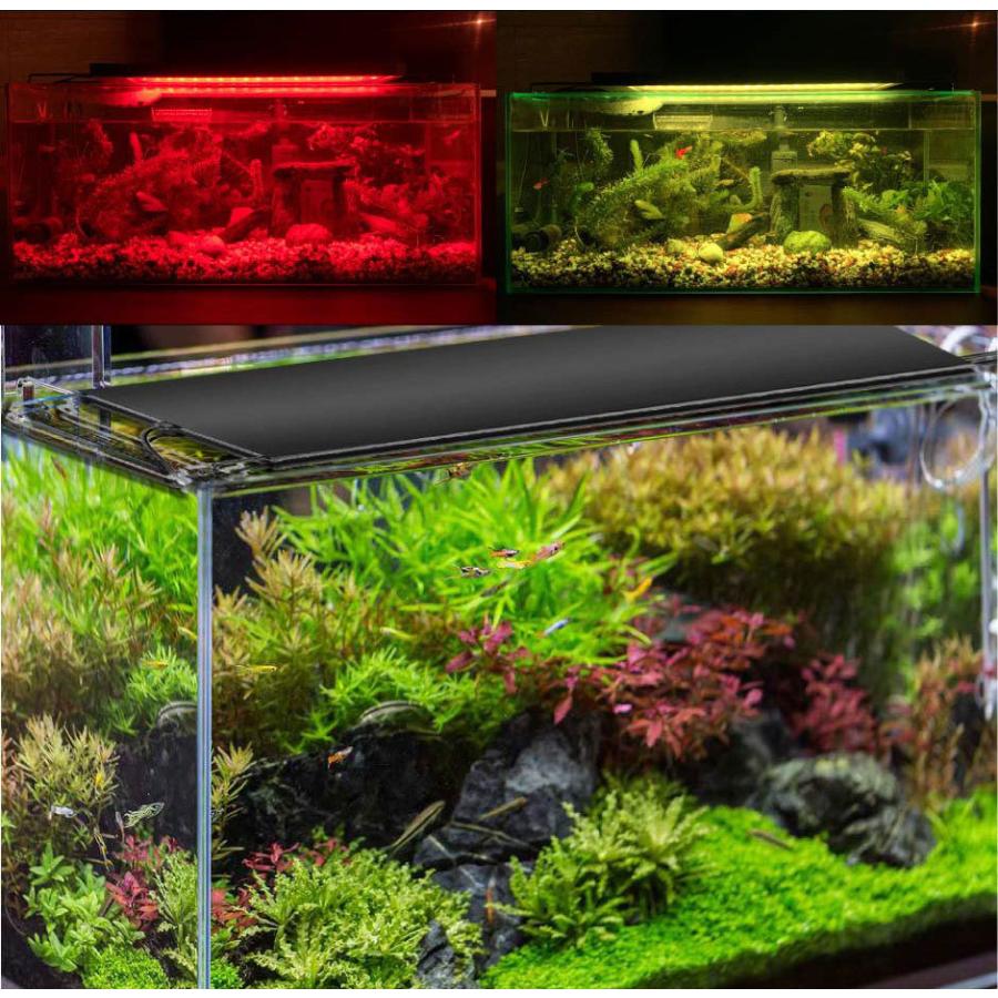 LED 水槽 アクアリウムライト 水槽ライト 60cm〜75cm 22W 1100lm 水槽対応 水槽用照明 アクアリウム ライト RGB AQUA60II ビームテック :AQUA60II:照明と雑貨のBrite - 通販 - Yahoo!ショッピング LED 水槽 アクアリウムライト 水槽ライト 60cm〜75cm 22W 1100lm 水槽対応 水槽用照明 アクアリウム ライト RGB AQUA60II ビームテック :AQUA60II:照明と雑貨のBrite - 通販 - Yahoo!ショッピング