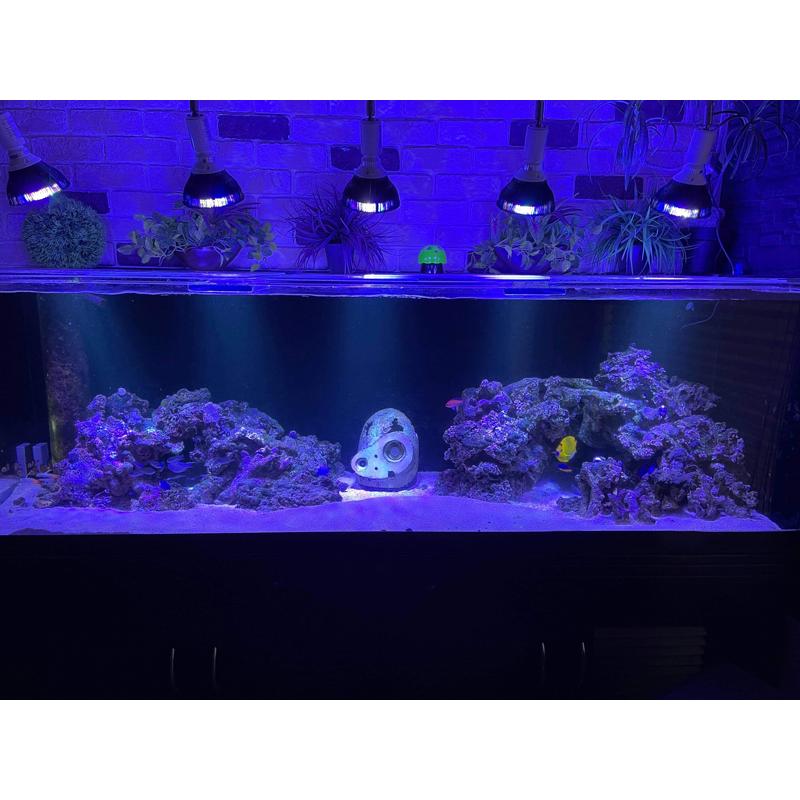 水槽用ライト LED 水槽 アクアリウムライト E26 水槽ライト 20W 水槽対応 水槽用照明