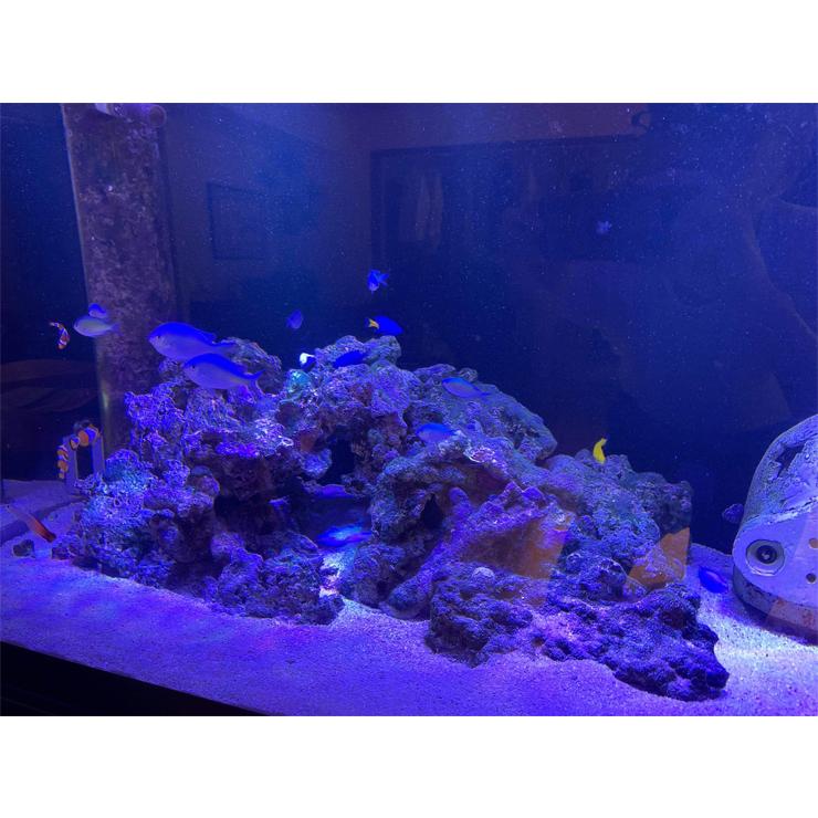水槽用ライト LED 水槽 アクアリウムライト E26 水槽ライト 20W 水槽対応 水槽用照明