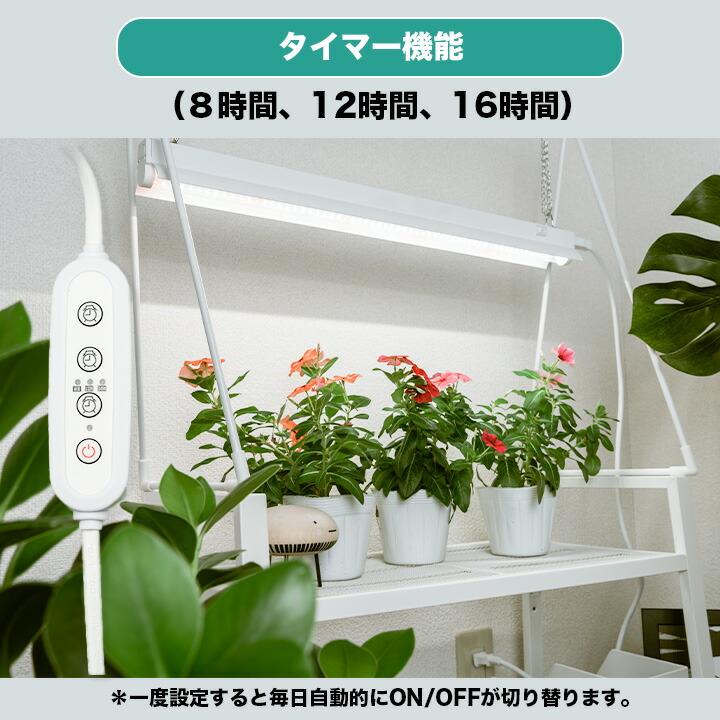 Beamtec（ビームテック） LED植物育成ライト 卓上育成ライト 卓上 植物