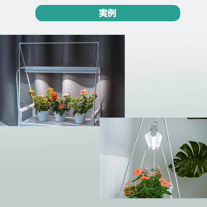 Beamtec（ビームテック） LED植物育成ライト 卓上育成ライト 卓上 植物