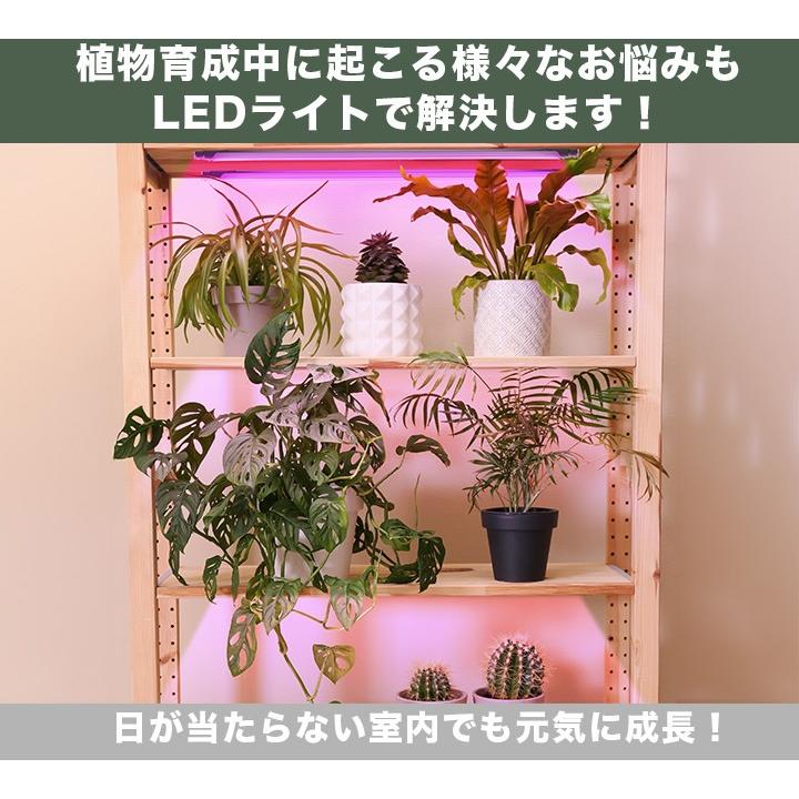 25本セット LED 植物育成 水耕栽培 LEDライト 観葉 植物 育成 ガーデニング 植物育成ライト LED蛍光灯 20W 器具一体型 直管 T5 LG20-T5R ビームテック_6