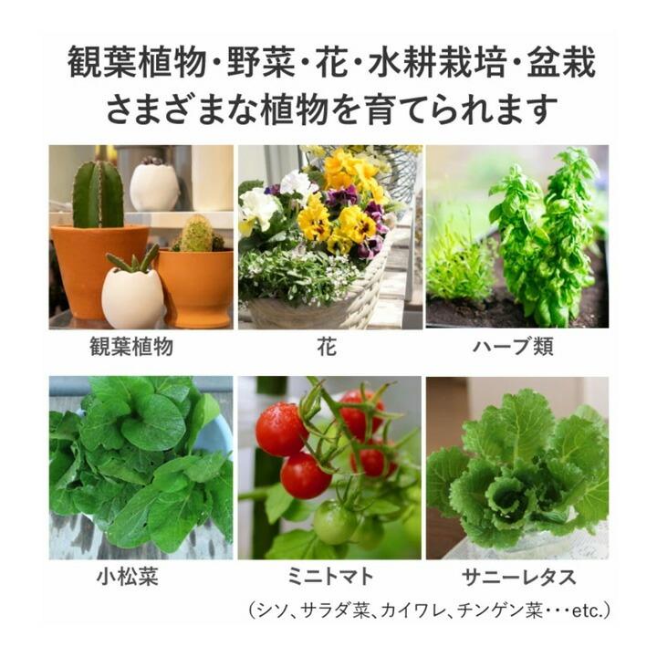 25本セット LED 植物育成 水耕栽培 LEDライト 観葉 植物 育成 ガーデニング 植物育成ライト LED蛍光灯 20W 器具一体型 直管 T5 LG20-T5R ビームテック_10