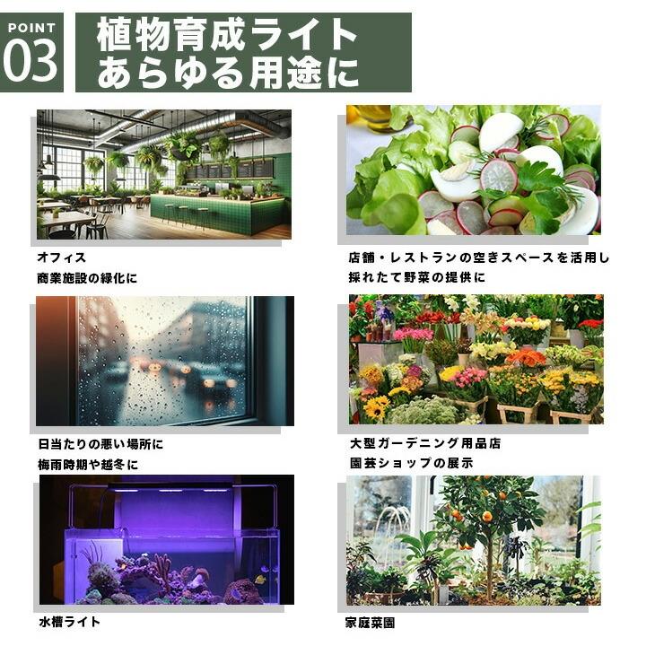 Beamtec（ビームテック） LED 植物育成 水耕栽培 LEDライト 観葉 植物