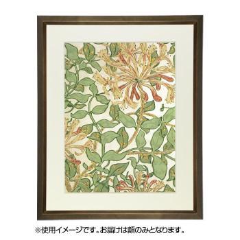 デッサン額 桜三角 ブラウン 三三606×455 アクリル_4