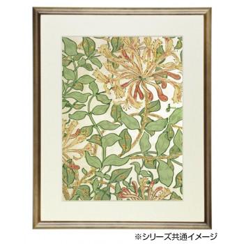 デッサン額　木製フレーム　横長　桜カマボコ　ブラウン　横長小　758×333　アクリル_2