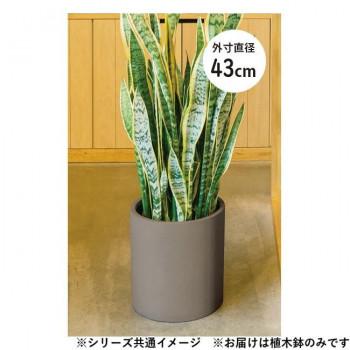 緑であることポット 鉢 ポリッシュ 円柱 暗灰色 43糎 AN-PY4343CH