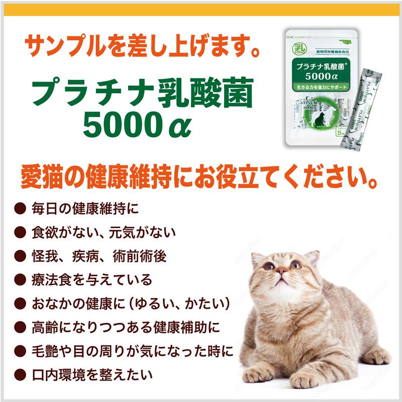 グリーンラボ 猫草 猫草スナック 送料無料 ねこ草 ネコ草 毛玉 ヘア