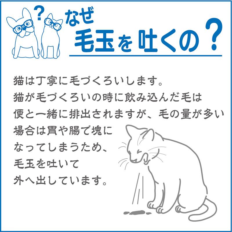 グリーンラボ 猫草 猫草スナック 送料無料 ねこ草 ネコ草 毛玉 ヘア
