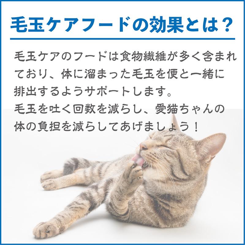 グリーンラボ 猫草 猫草スナック 送料無料 ねこ草 ネコ草 毛玉 ヘア