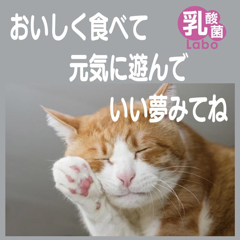 グリーンラボ 猫草 猫草スナック 送料無料 ねこ草 ネコ草 毛玉 ヘア