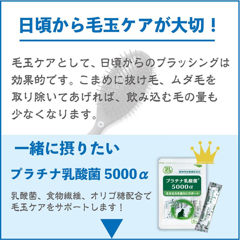 グリーンラボ 猫草 猫草スナック 送料無料 ねこ草 ネコ草 毛玉 ヘア