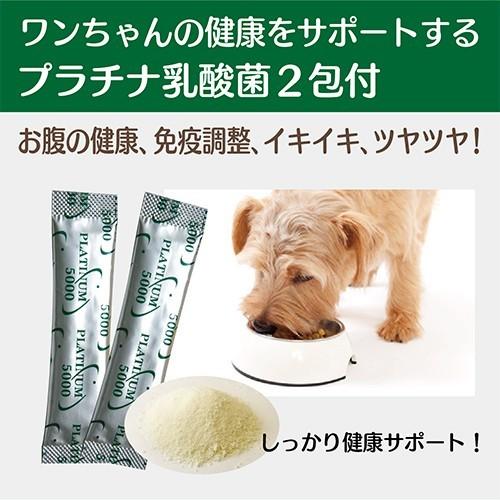 犬 おやつ 無添加 国産 いぬぴゅーれ 無添加ピュアシリーズ6パック プラチナ乳酸菌2包付 犬用おやつ 犬のおやつ 犬ピューレ Dog Puree06 乳酸菌ラボ 通販 Yahoo ショッピング