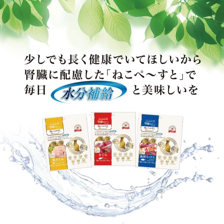 猫 腎臓 フード 無添加 ウエット おやつ 国産 高齢 ねこぺーすと 乳酸菌 サプリ 低リン 低ナトリウム 水分補給 腸活 免疫調整 鶏ささみ(30g×7本入) | RIVERD REPUBLIC | 06