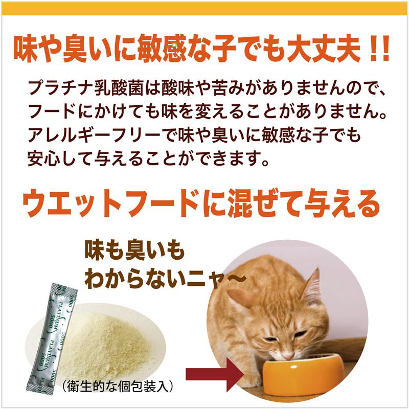 猫 腎臓 フード 無添加 ウエット おやつ 国産 高齢 ねこぺーすと 乳酸菌 サプリ 低リン 低ナトリウム 水分補給 腸活 免疫調整 鶏ささみ(30g×7本入) | RIVERD REPUBLIC | 08