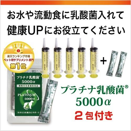 シリンジ10ml 6本セット送料無料 市販 動物 犬 猫 介護 ペット用品 ニプロ 注射器 スポイト