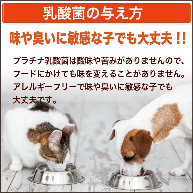 シリンジ ペット 30ml ×5本 プラチナ乳酸菌 5包 送料無料 犬 猫 高齢 老犬 老猫 介護 スポイト 投薬 給餌 薬 流動食 横口 注射器 免疫 腸活 二プロ 08-888 |  | 04