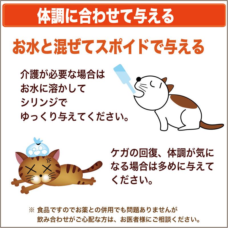 シリンジ ペット 30ml ×5本 プラチナ乳酸菌 5包 送料無料 犬 猫 高齢 老犬 老猫 介護 スポイト 投薬 給餌 薬 流動食 横口 注射器 免疫 腸活 二プロ 08-888 |  | 05
