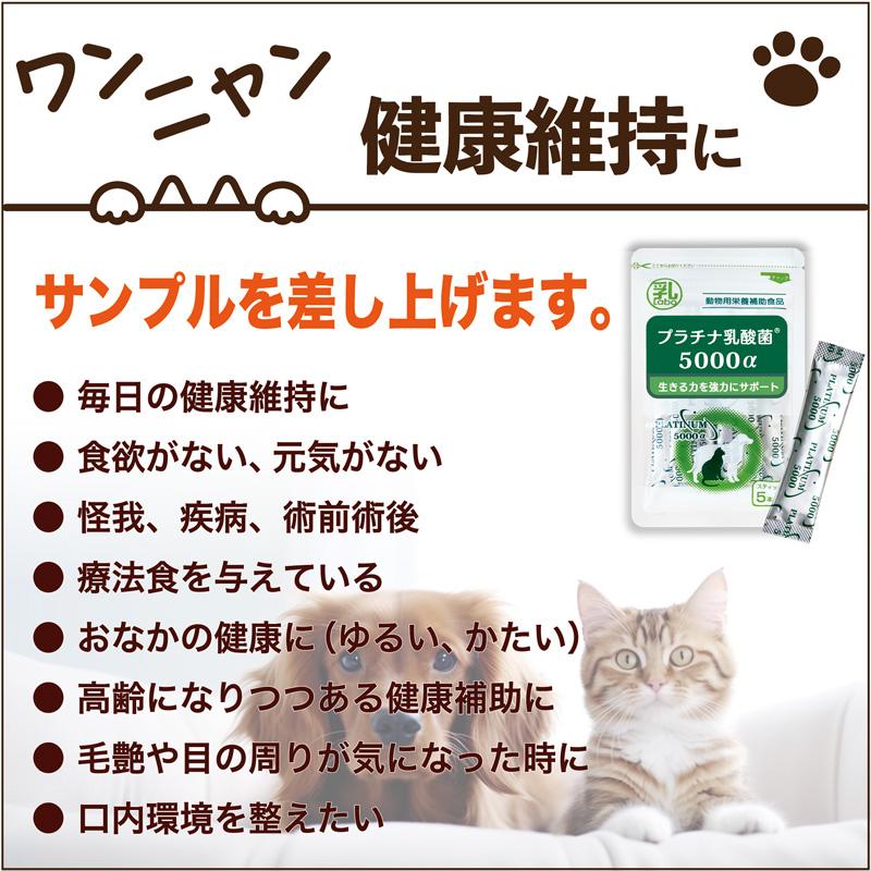 シリンジ ペット 30ml ×5本 犬 猫 高齢 老猫 老犬 投薬 介護 給餌 薬 流動食 針なし 横口 注射器 スポイトお水 薬を与える 乳酸菌 免疫 二プロ 08-888 |  | 03