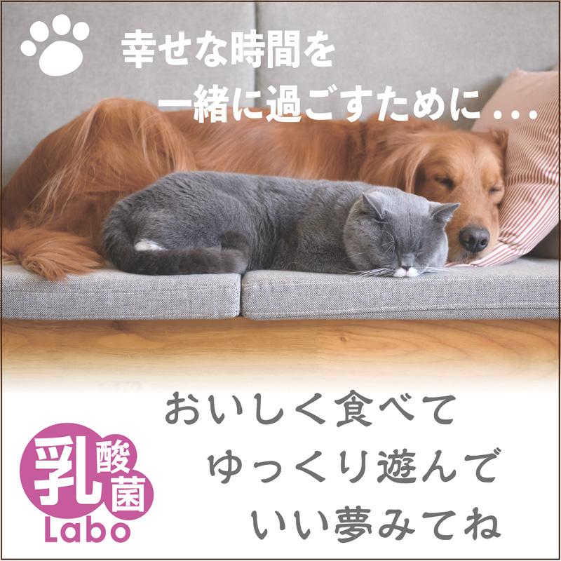 シリンジ ペット 30ml ×5本 犬 猫 高齢 老猫 老犬 投薬 介護 給餌 薬 流動食 針なし 横口 注射器 スポイトお水 薬を与える 乳酸菌 免疫 二プロ 08-888 |  | 06