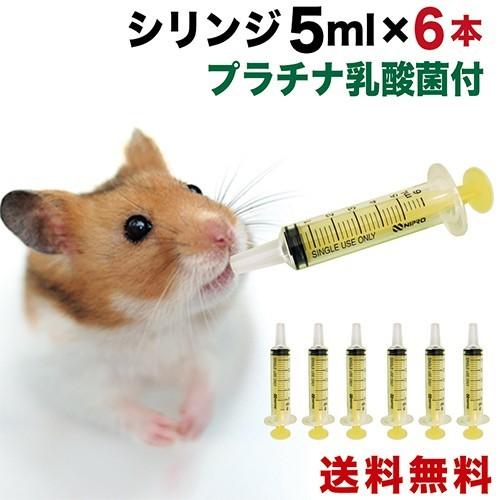 動物用 シリンジ5ml 6本セット送料無料 犬 猫 ペット用品 介護 注射器 ニプロ スポイト Nipro 5ml 6 乳酸菌ラボ 通販 Yahoo ショッピング
