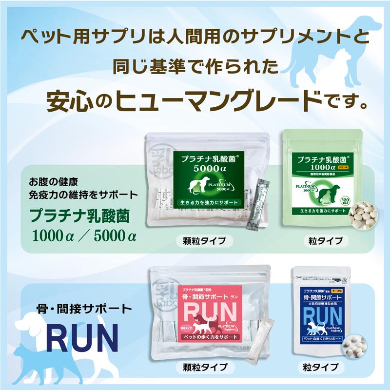 犬 猫 乳酸菌 サプリ 免疫調整 腸内環境 ペット サプリメント 粒 送料