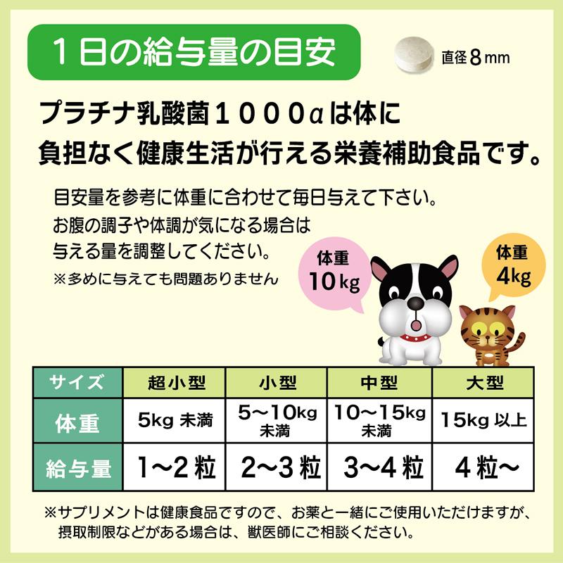 犬 猫 乳酸菌 サプリ 免疫調整 腸内環境 ペット サプリメント 粒 送料