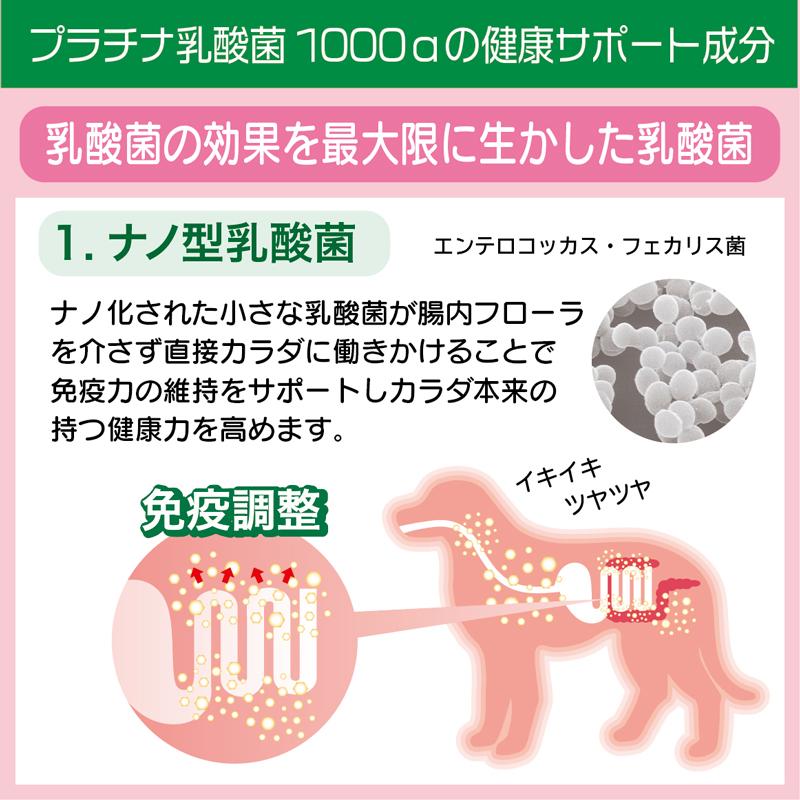 犬 猫 乳酸菌 サプリ 免疫調整 腸内環境 ペット サプリメント 粒 送料