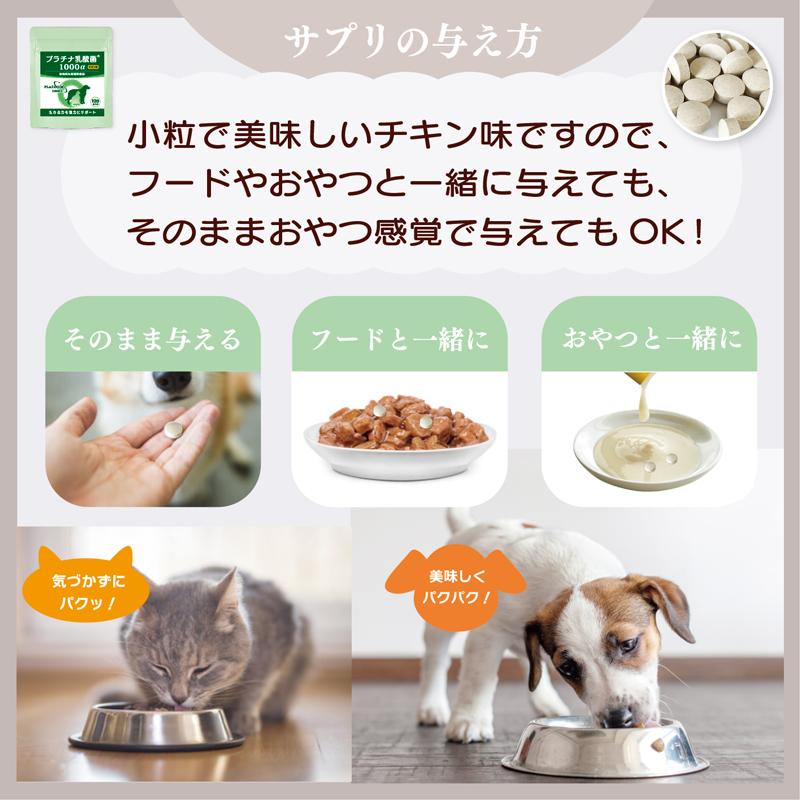 犬 猫 乳酸菌 サプリ 免疫調整 腸内環境 ペット サプリメント 粒 送料