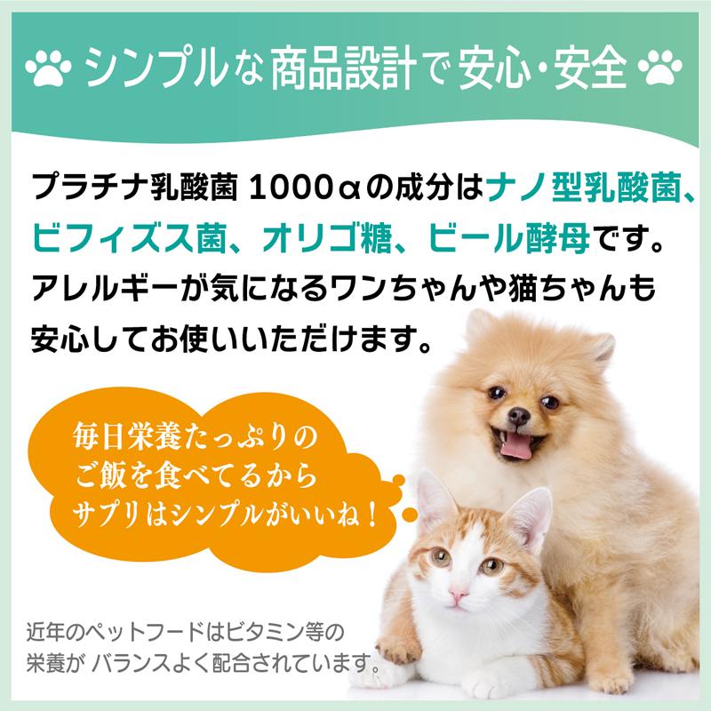 犬 猫 乳酸菌 サプリ 免疫調整 腸内環境 ペット サプリメント 粒 送料